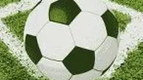 瓦拉內：揭秘学霸背后的秘密